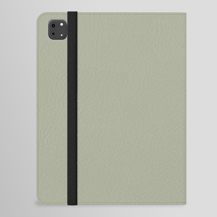 Light Gray-Green Solid Color Pantone Swamp 15-6310 TCX Shades of Green Hues iPad Folio Case