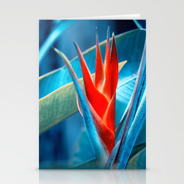 Helicon Flower Beauty In Red And Blue Stationery Cards