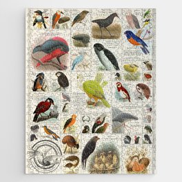 Birds Generated by A.I. (These Birds Do Not Exist 4) Jigsaw Puzzle