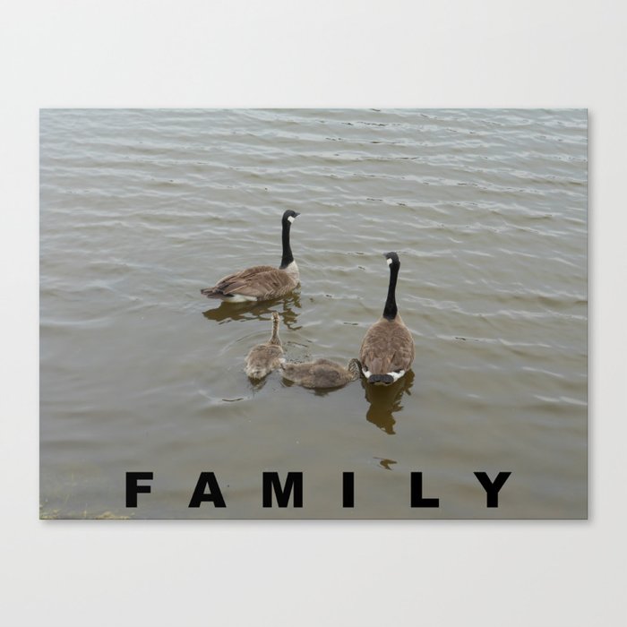 FAMILY of Canadian Geese Canvas Print