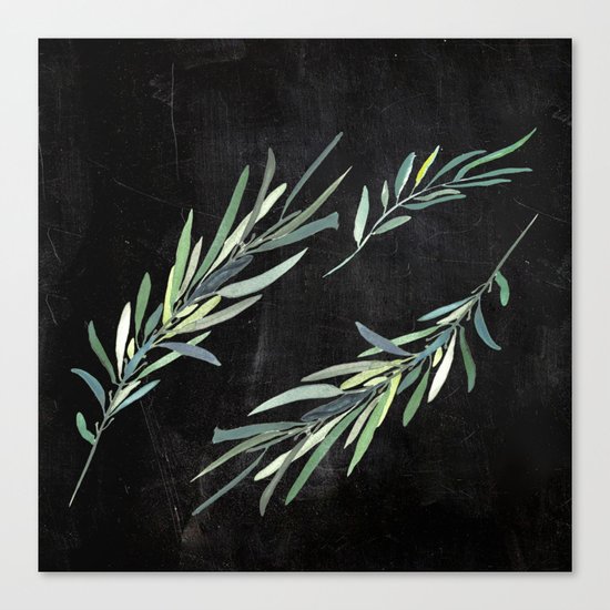 Eucalyptus leaves on chalkboard Canvas Print