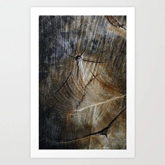 Crash Art Print