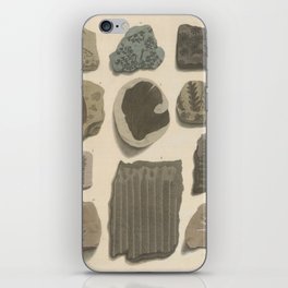 Naturalist Fossils iPhone Skin