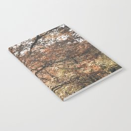 Late autumn amber forest Notebook