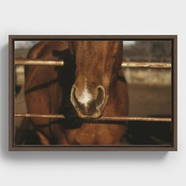 Rustic Horse Nose on Ranch Framed Canvas