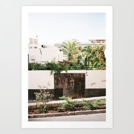 Botanical backyard Ibiza Spain | Lush greenery | Wanderlust Travel photography Art Print