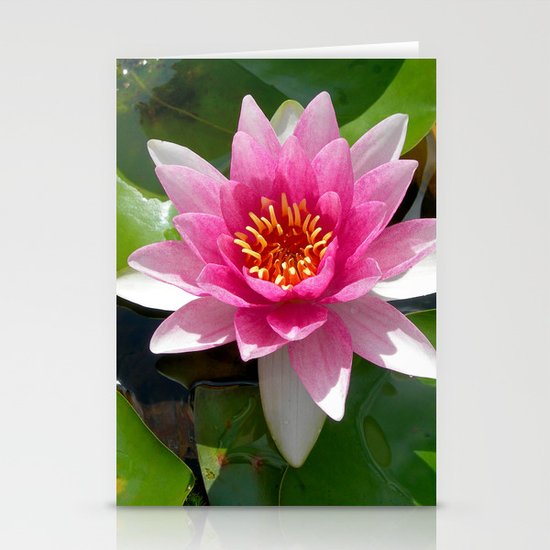 water lily VI Stationery Cards