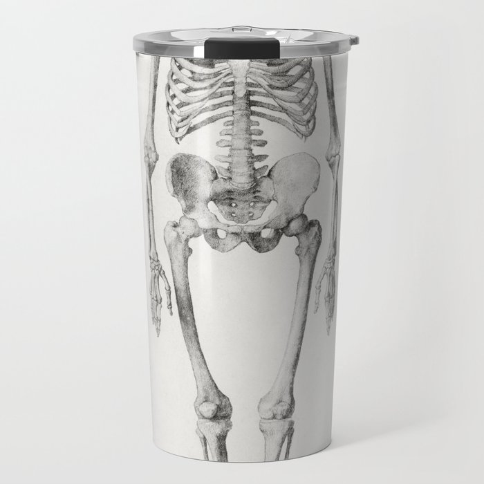 Human Skeleton, Anterior View Travel Mug
