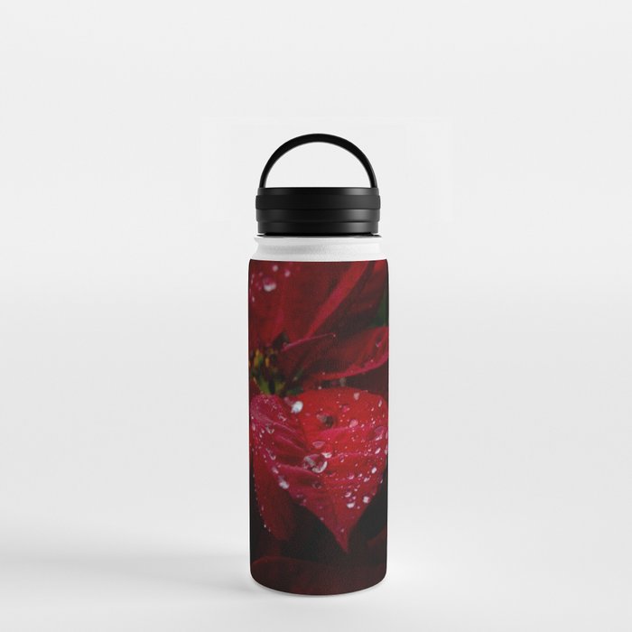 Velvet Poinsettia Water Bottle