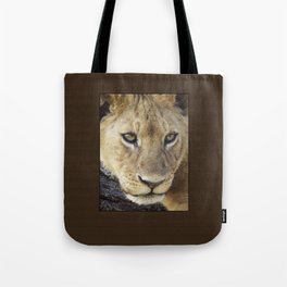 Lion_BrownBoarder Tote Bag