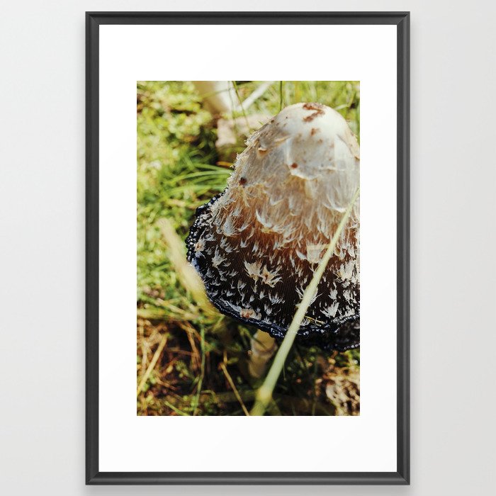 Dalmatian Mushroom | Nature Photography #mushroom #decor #art Framed Art Print
