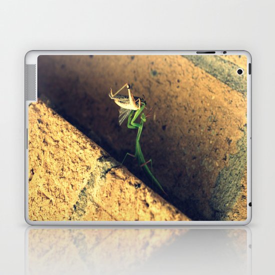 Sacrificial Grasshopper Laptop & iPad Skin