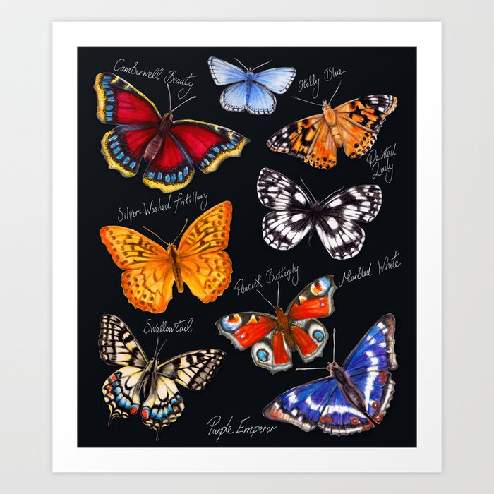 Butterflies On Black Art Print