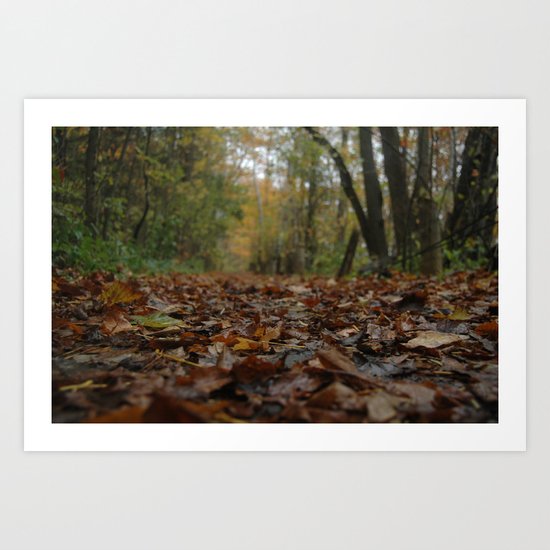 A quiet walk. Art Print