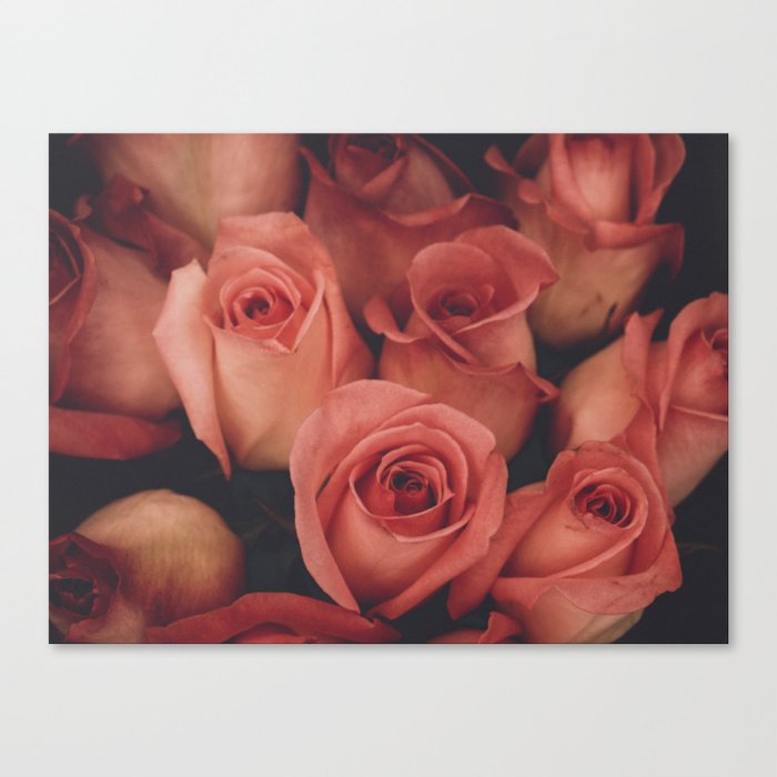 vintage pink roses Canvas Print