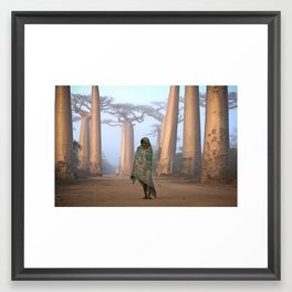 Avenue of the Baobabs Framed Art Print