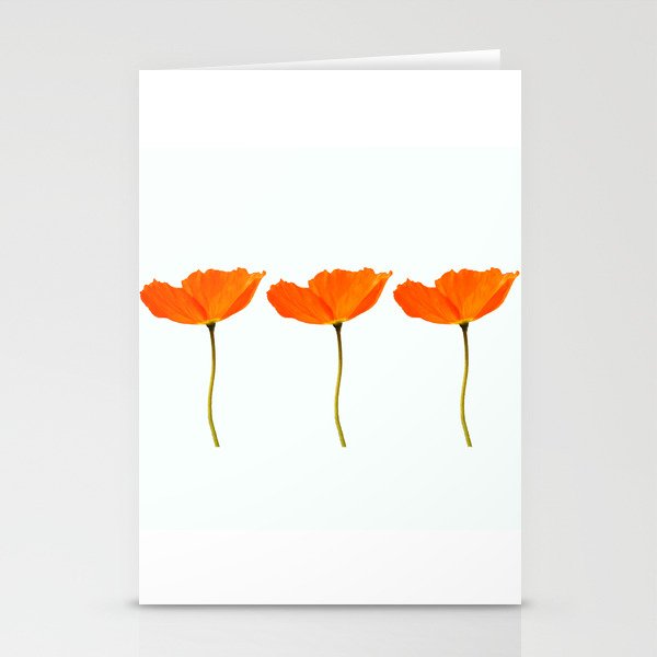 Three Orange Poppy Flowers White Background  Stationery Cards