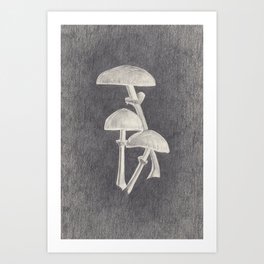 Old field flashlights Porcelain mushroom Art Print