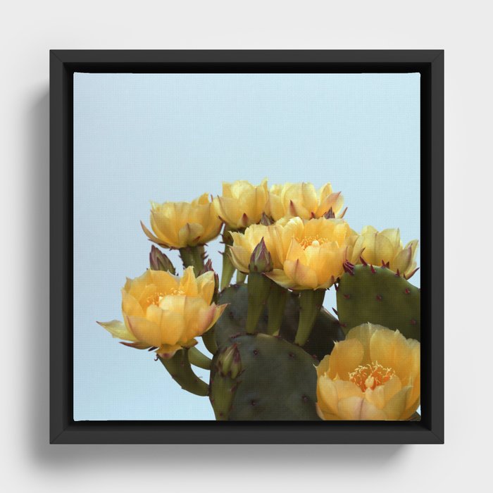 Prickly Pear #3 Framed Canvas