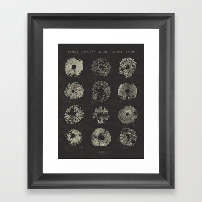 Spore Prints of North American Mushrooms (White on Charcoal) Framed Art Print