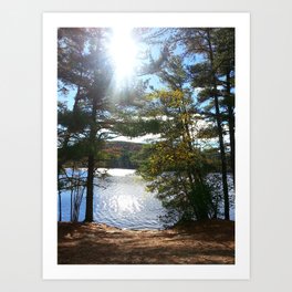 Quiet Lake in Autumn Art Print