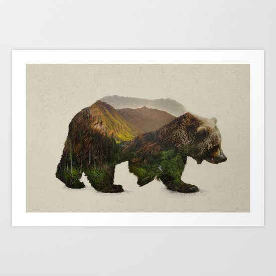 North American Brown Bear Art Print