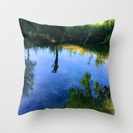River Of Hope, River Of Tears Throw Pillow