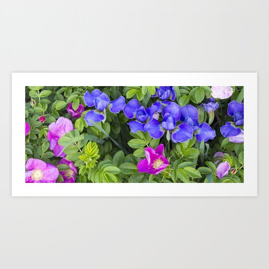 Garden Bed Art Print