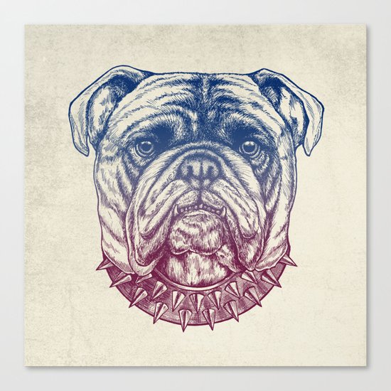 Gritty Bulldog Canvas Print