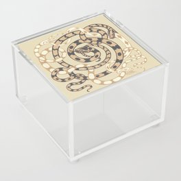 Vintage Snake Design Acrylic Box