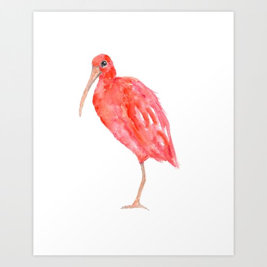Bird Art Print