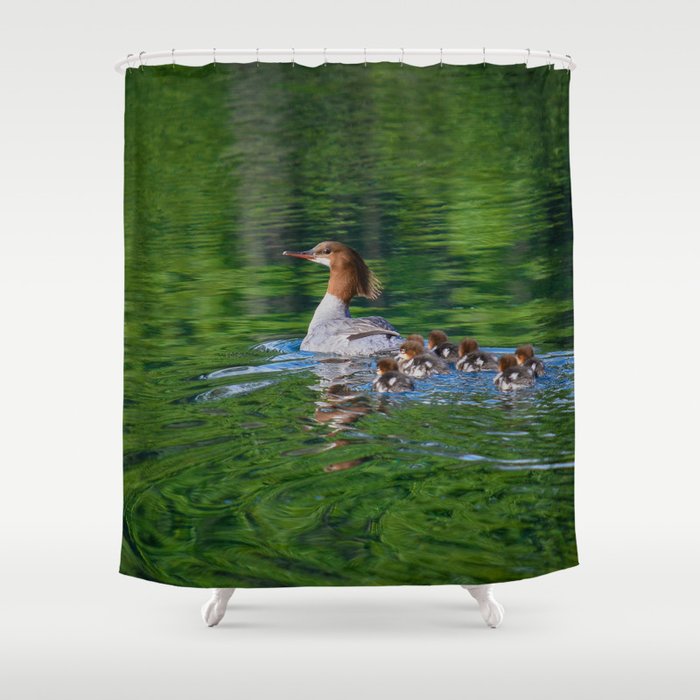 Merganser Duck Family - Seward, Alaska Shower Curtain