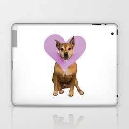 Pitbull Heart Love Laptop & iPad Skin