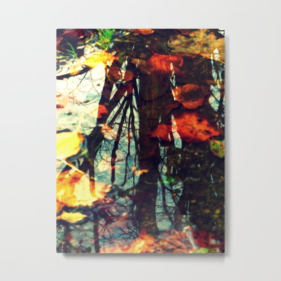 Reflections Metal Print
