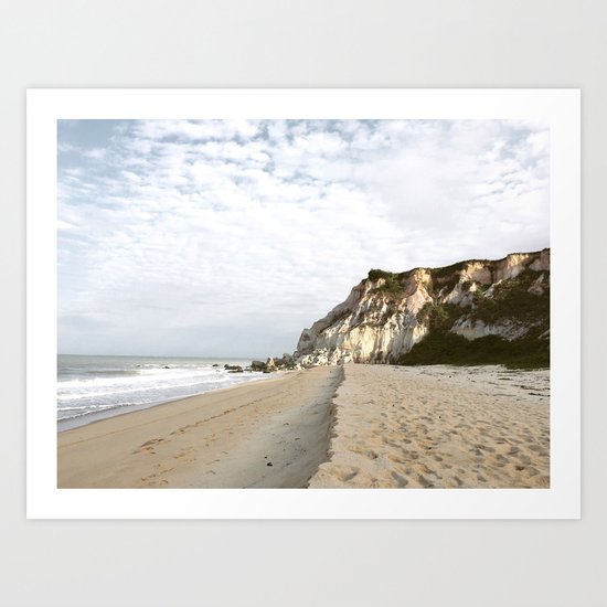 Afternoon | Taipe - Brazil Art Print