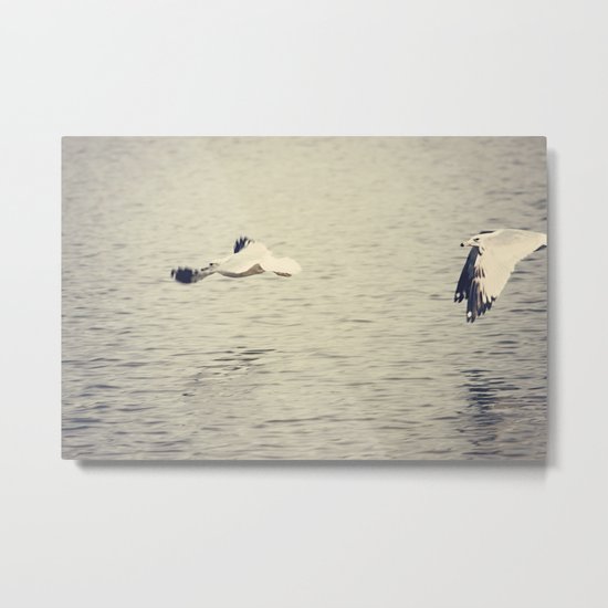 Fly Away With Me Metal Print