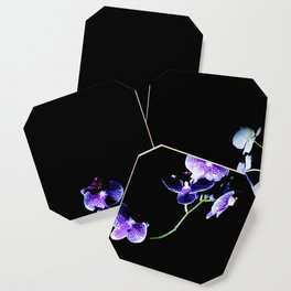 mysterious orchid right Coaster