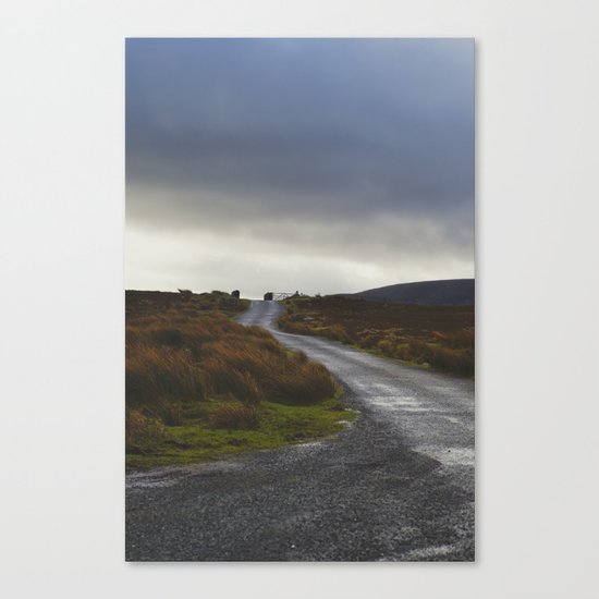 Mountain Road Canvas Print