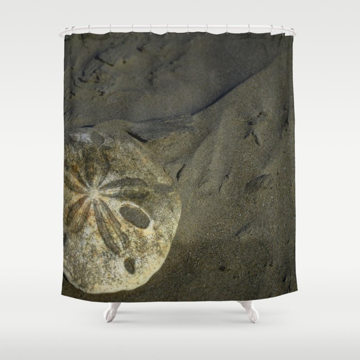 Sanddollar Shower Curtain