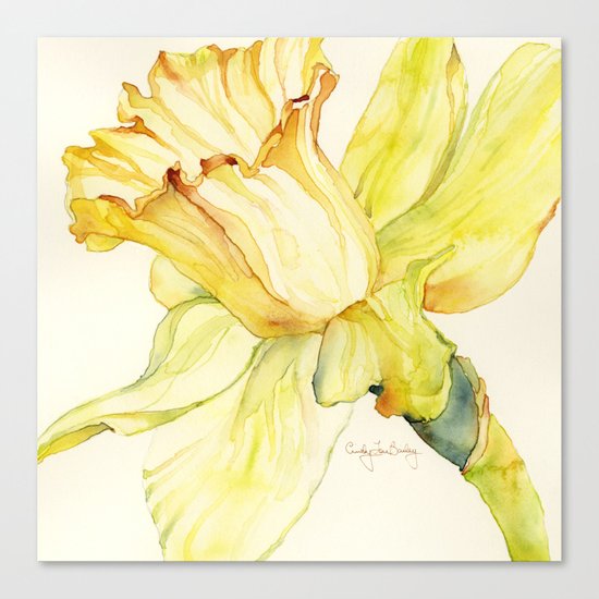 Narcissus Canvas Print