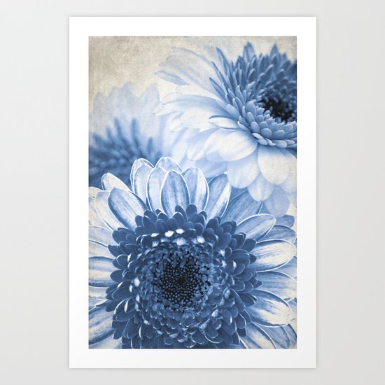 Blue Gerbera Art Print