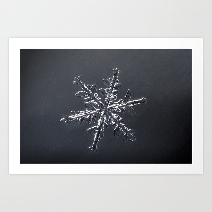 January Snowflake #2 Art Print