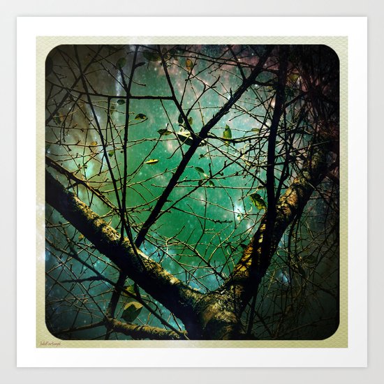 Just dreaming Art Print