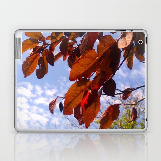 Autumn is in the Air Laptop & iPad Skin