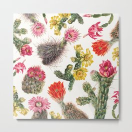 Aesthetic Cactus With Flower, Pink. Metal Print