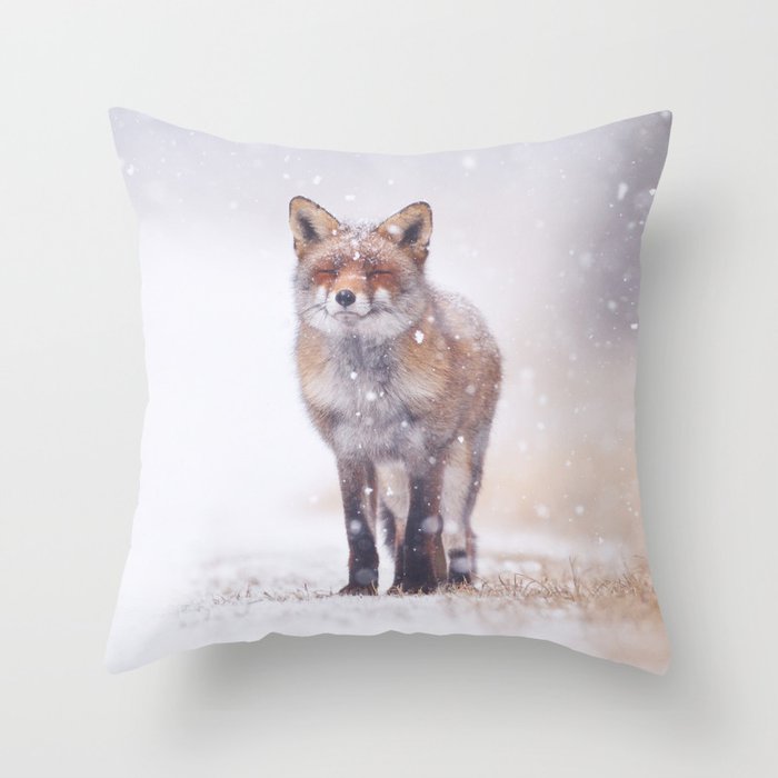 Happy Smiling Red Fox In The Snow Animal / Wildlife / Nature Photograph Throw Pillow and More