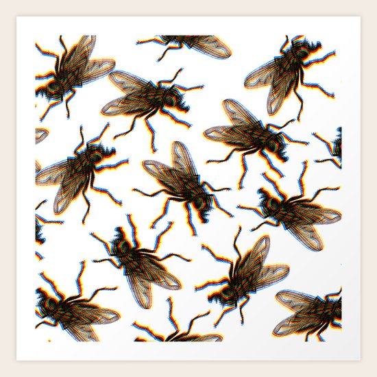 FLY II Art Print