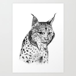 Iberian Lynx B/N Art Print