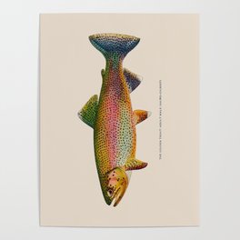 Golden Trout Poster
