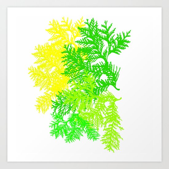 Fern Art Print